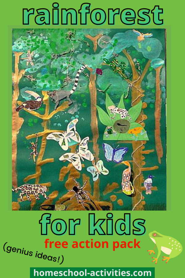 Download 34+ Lesson Plans King Of The Rainforest Lesson Plan Coloring
