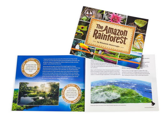 Amazon rainforest book