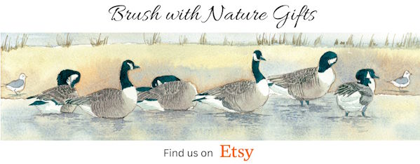 brush with nature gifts banner