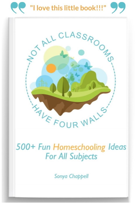 Homeschooling ideas book