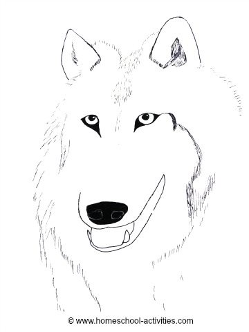 Wolf Coloring Pages: Art Projects For Kids