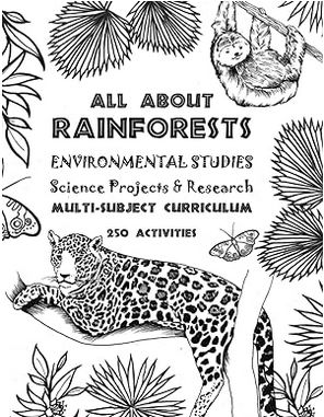 rainforest book