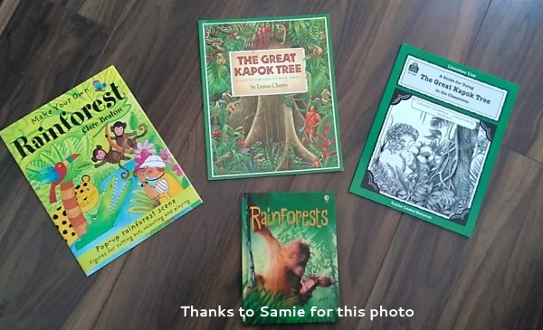 rainforest books