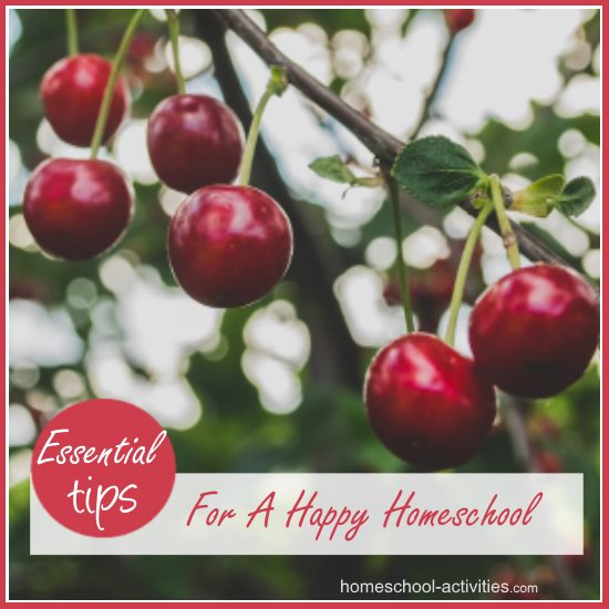 tips for a happy homeschool